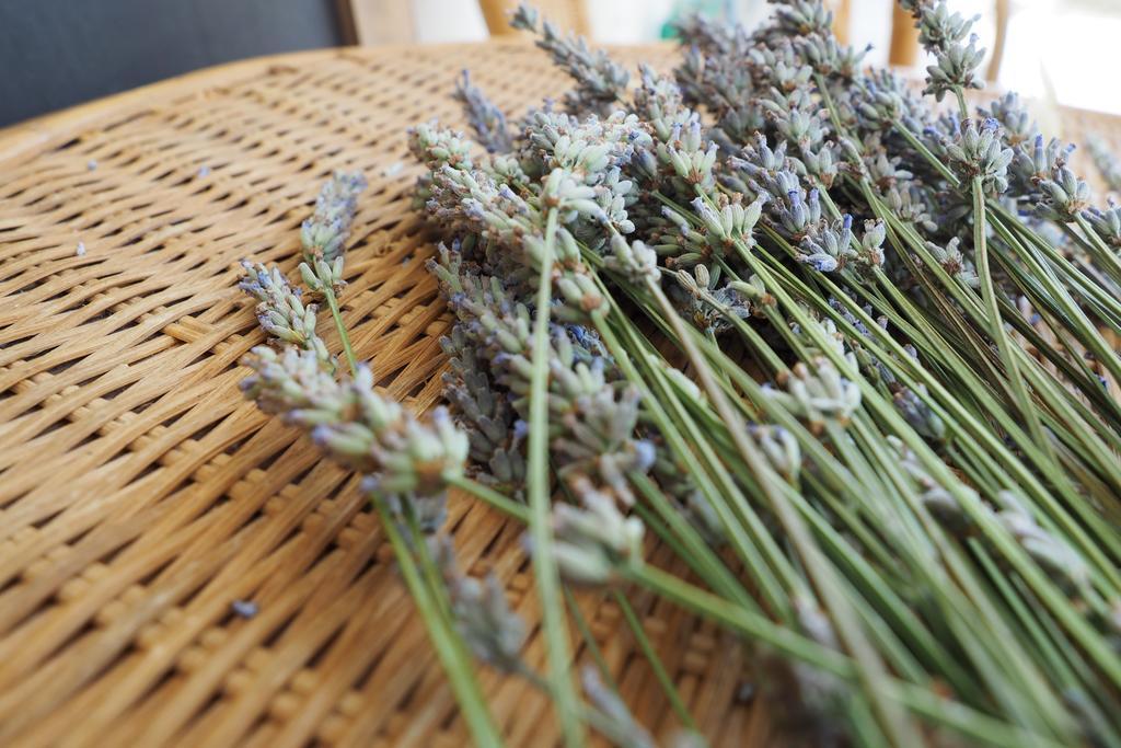 Apartmani 马卡尔斯卡 外观 照片